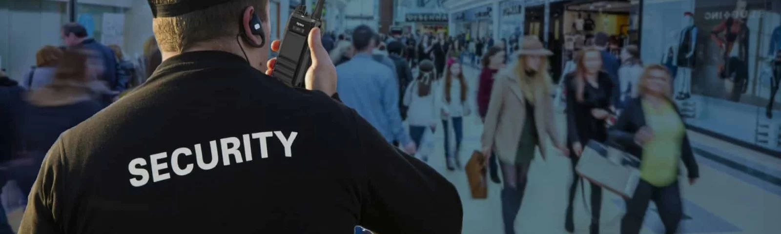 Callout Image 1